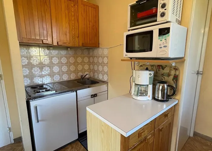 Au Sauze Avec Balcon Et Garage - Fr-1-165a-88 Appartement Enchastrayes